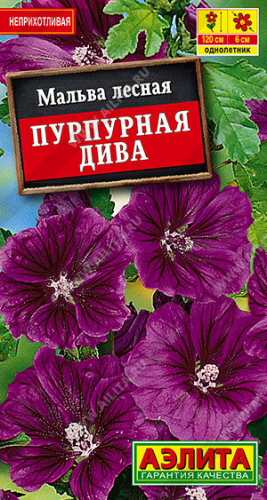 1597A Мальва Пурпурная дива 0,1гр