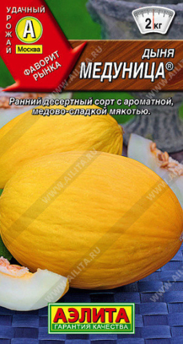 0413A Дыня Медуница 1 г