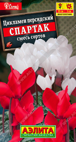 1873A Цикламен персидский Спартак, смесь сортов 3шт