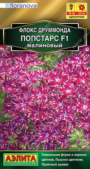 1828A Флокс друммонда Попстарс F1 малиновый 5шт