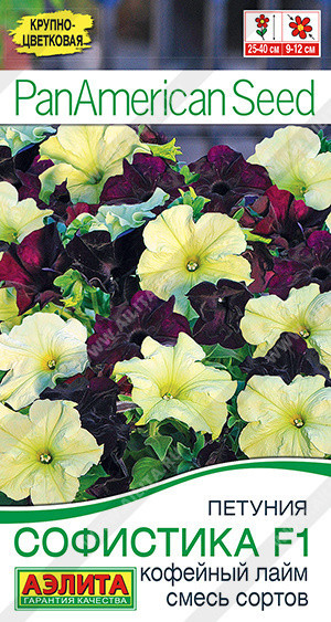 1739A Петуния Софистика F1 кофейный лайм, смесь сортов 4шт