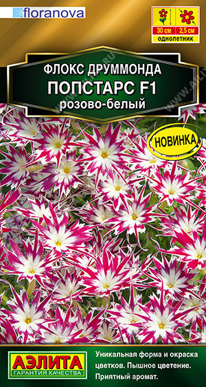 1829A Флокс друммонда Попстарс F1 розово-белый 5шт