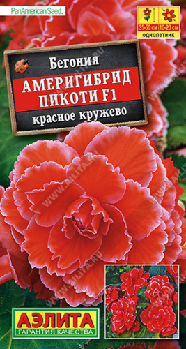 1323A Бегония Америгибрид Пикоти F1 красное кружево 5 шт