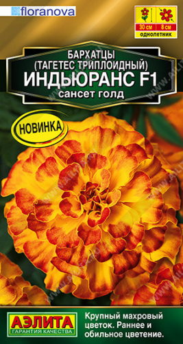 1261A Бархатцы Индьюранс F1 сансет голд 5шт