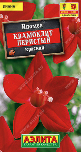 1452A Ипомея Квамоклит красная 0,5гр