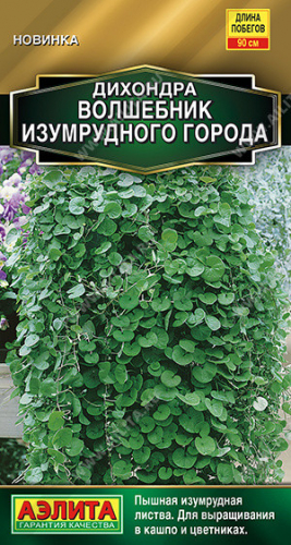 1433A Дихондра Волшебник Изумрудного города 3шт