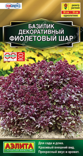 1240A Базилик декоративный Фиолетовый шар 10шт