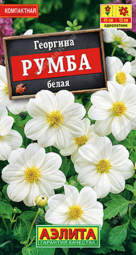 1429A Георгина Румба белая 0,3 г