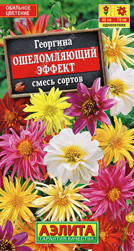 1394A Георгина Ошеломляющий эффект, смесь сортов 10шт