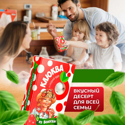Клюква в пудре из Вологды 80гр.