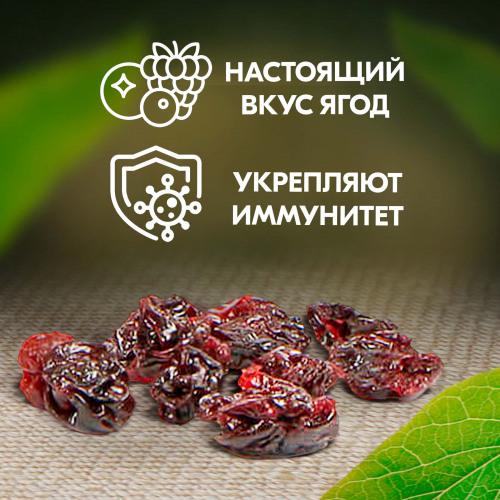 Вологодские цукаты из Вишни 100 г. 