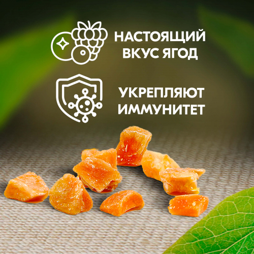 Вологодские цукаты из Тыквы 120 г. 