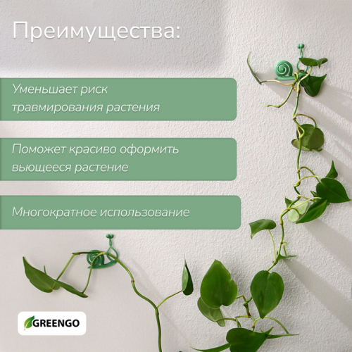 Крепления для вьющихся растений, настенные, самоклеящиеся, «Улитка», d = 10 мм,  10 шт., Greengo