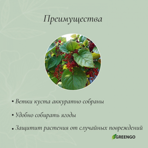 Кустодержатель, d = 20 см, h = 70 см, ножка d = 0.3 см, металл, зелёный, троеножка, Greengo