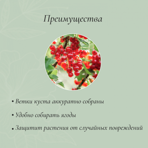 Кустодержатель, d=50 см, h=90 см, ножка d=0,3 см, металл,  2 шт., зелёный