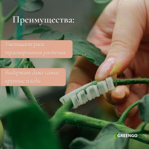 Кистедержатель «Улитка», 3,5 см,  50 шт., Greengo