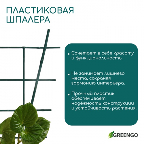 Шпалера, 48 × 29 × 0.5 см, пластик, зелёная, Greengo
