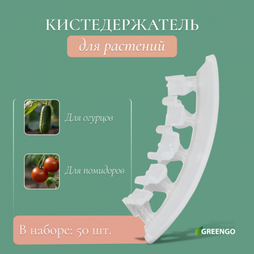 Кистедержатель «Улитка», 4 см,  50 шт., Greengo