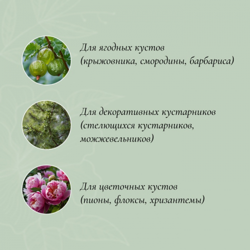 Кустодержатель, d=50 см, h=90 см, ножка d=0,3 см, металл,  2 шт., зелёный