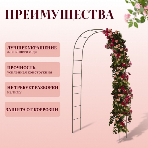 Арка садовая, 240 × 125 × 36.5 см, для вьющихся растений, металлическая, бронзовая