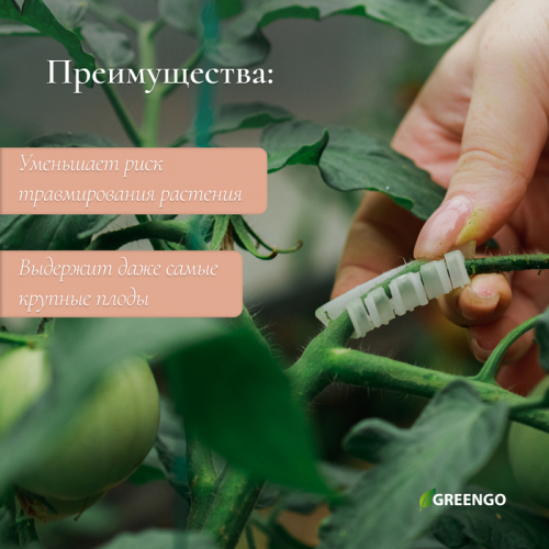 Кистедержатель «Улитка», 4 см,  50 шт., Greengo