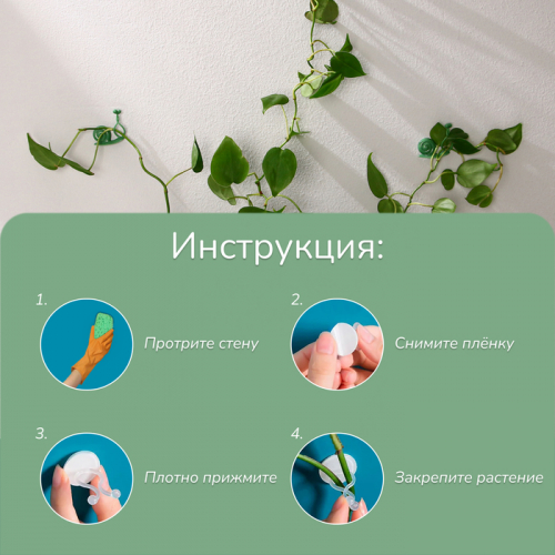 Крепления для вьющихся растений, настенные, самоклеящиеся, «Улитка», d = 10 мм,  10 шт., Greengo