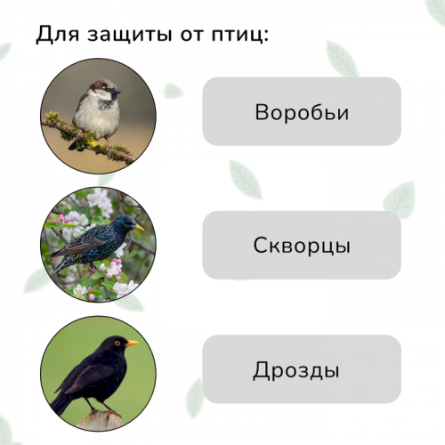 Сетка садовая, мягкая, 5 × 2 м, ячейка 15 × 15 мм, от птиц, Greengo