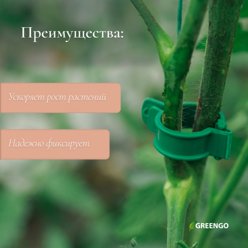 Клипса садовая, d = 20 мм,  20 шт., зелёный, Greengo