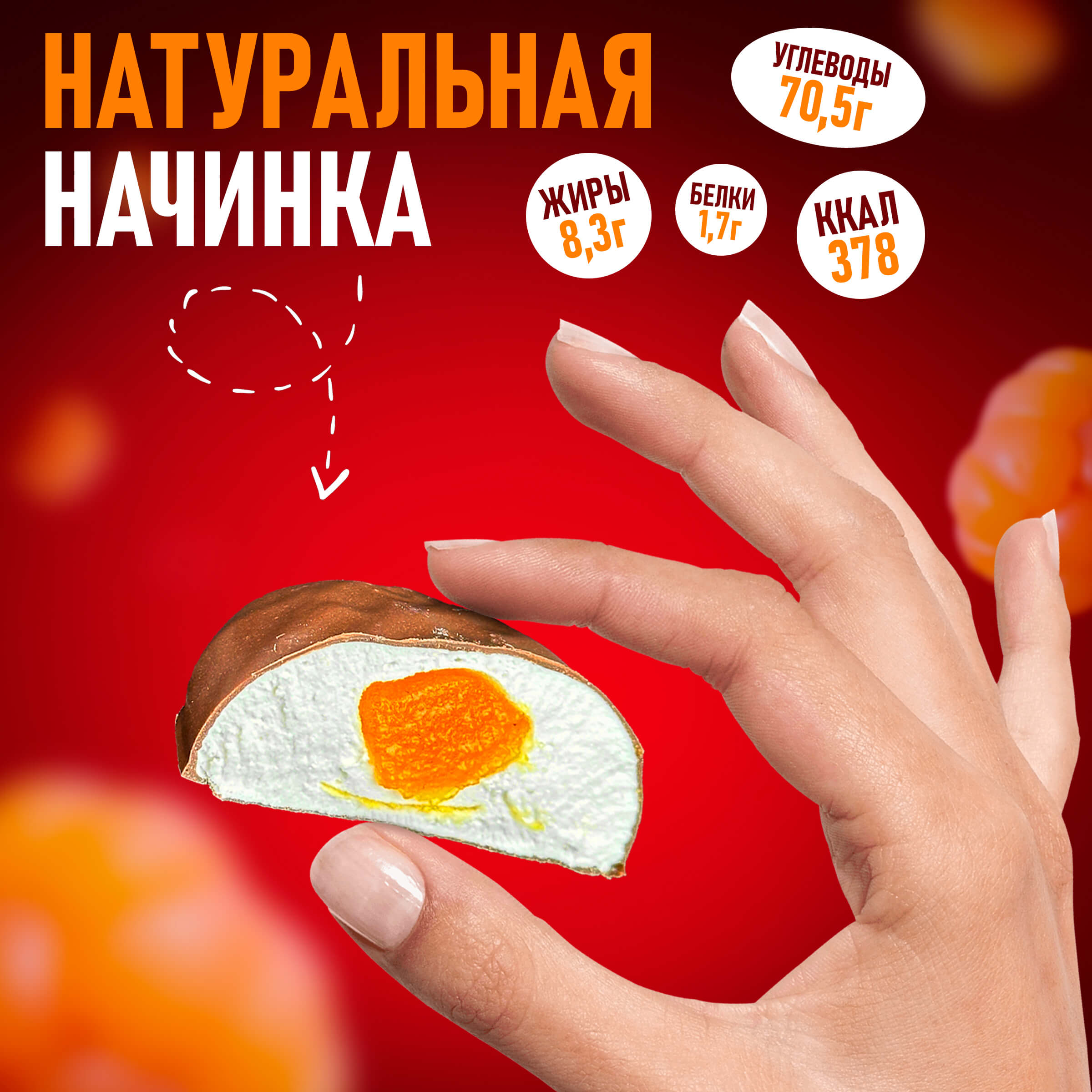 Зефир Вологодский в шоколаде