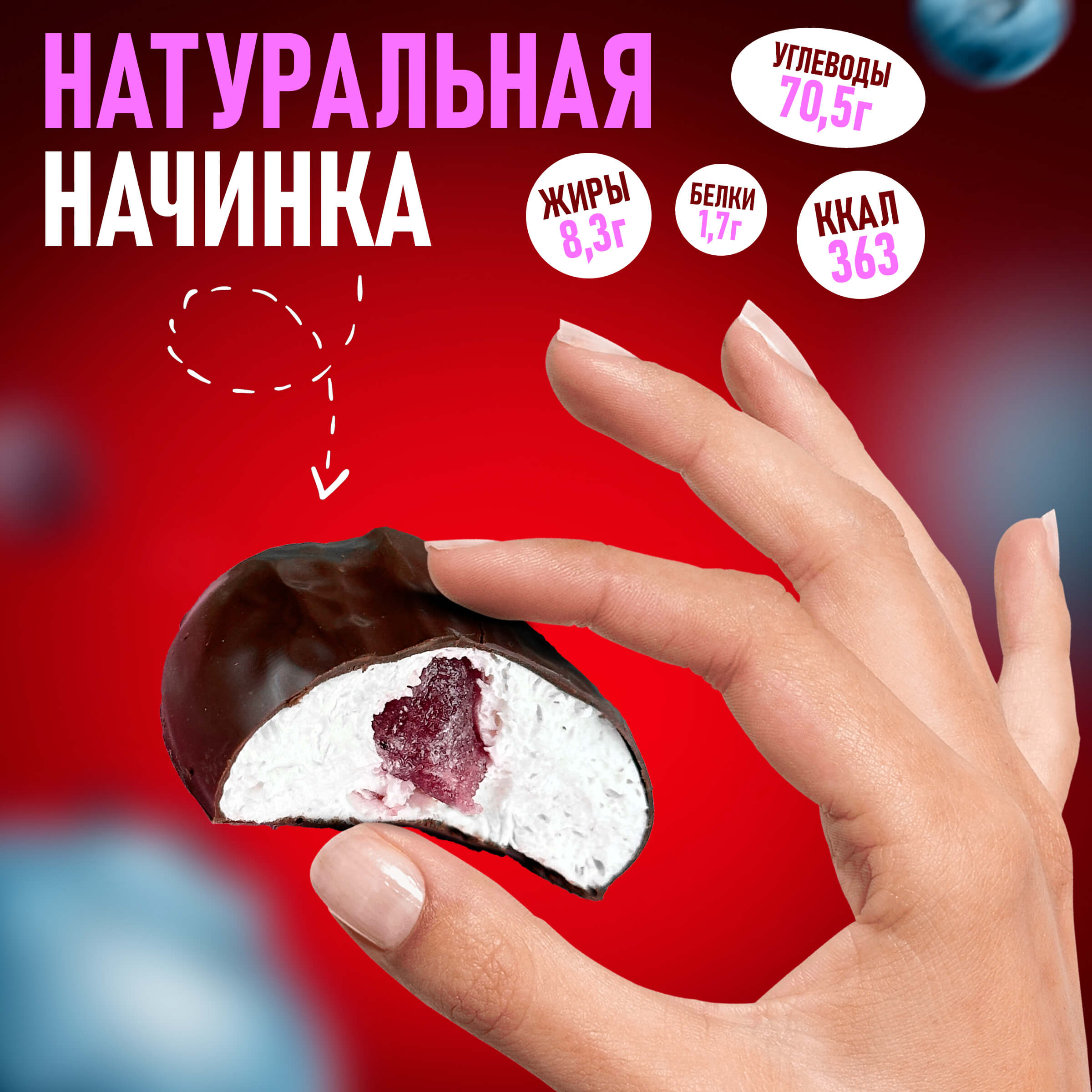 Зефир Вологодский в шоколаде