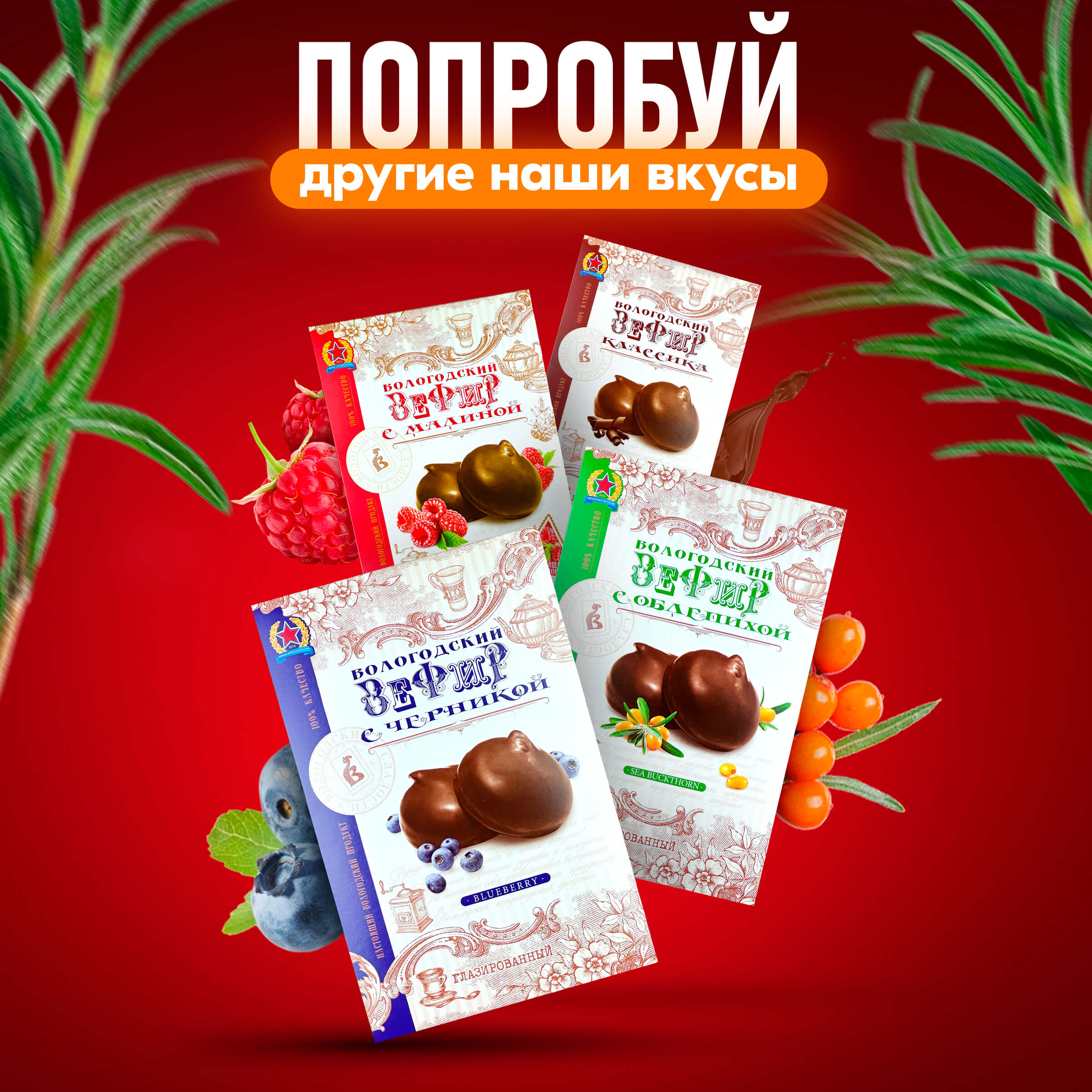 Зефир Вологодский в шоколаде