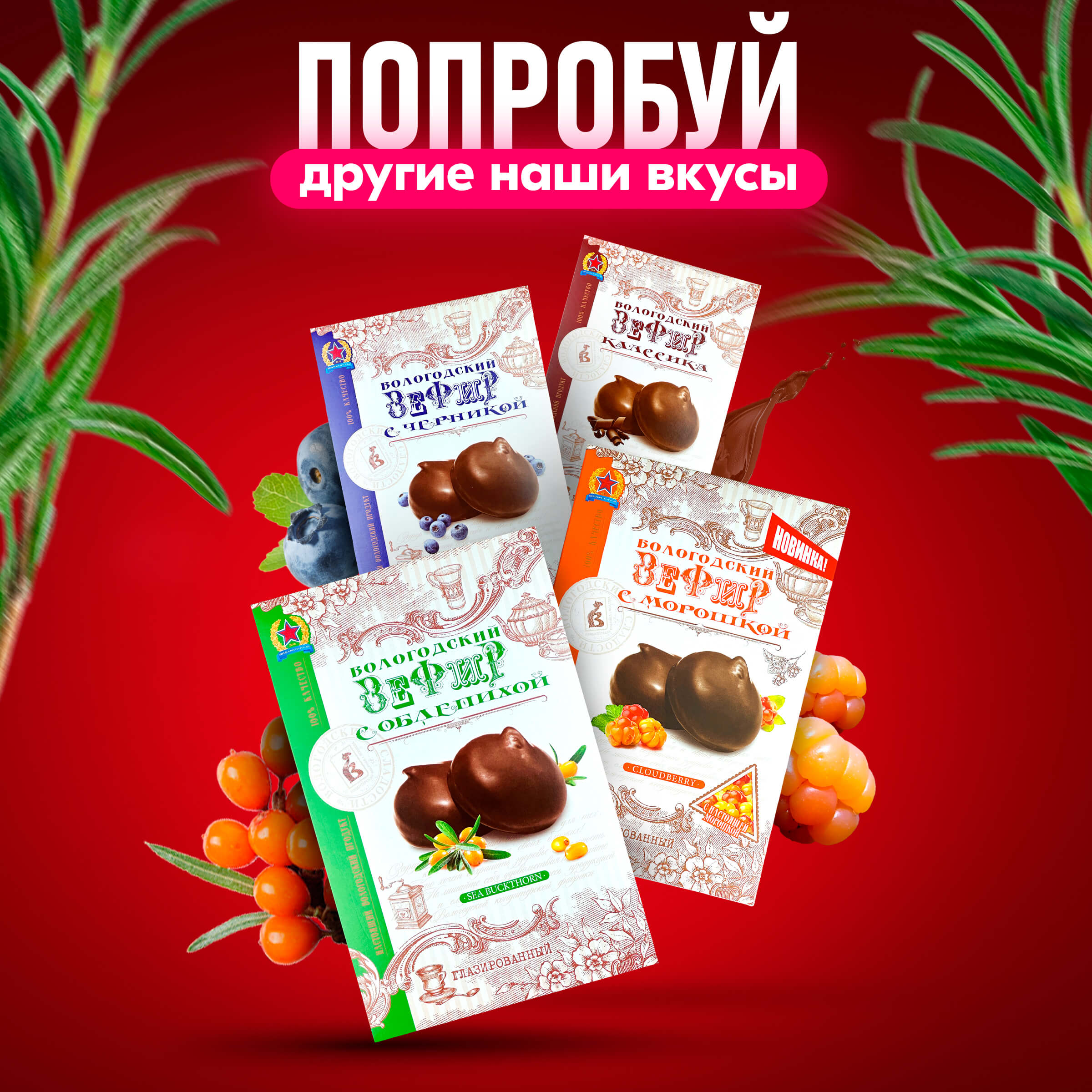 Зефир Вологодский в шоколаде