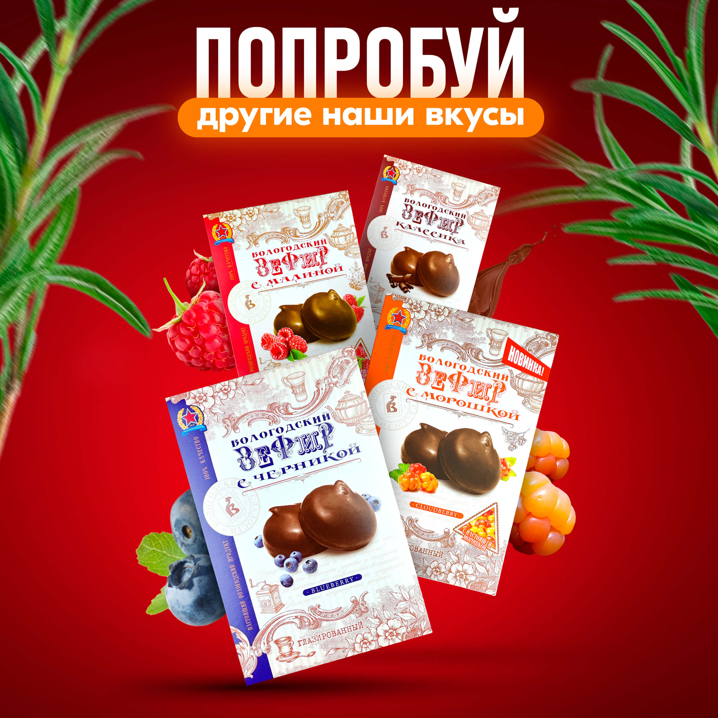 Зефир Вологодский в шоколаде