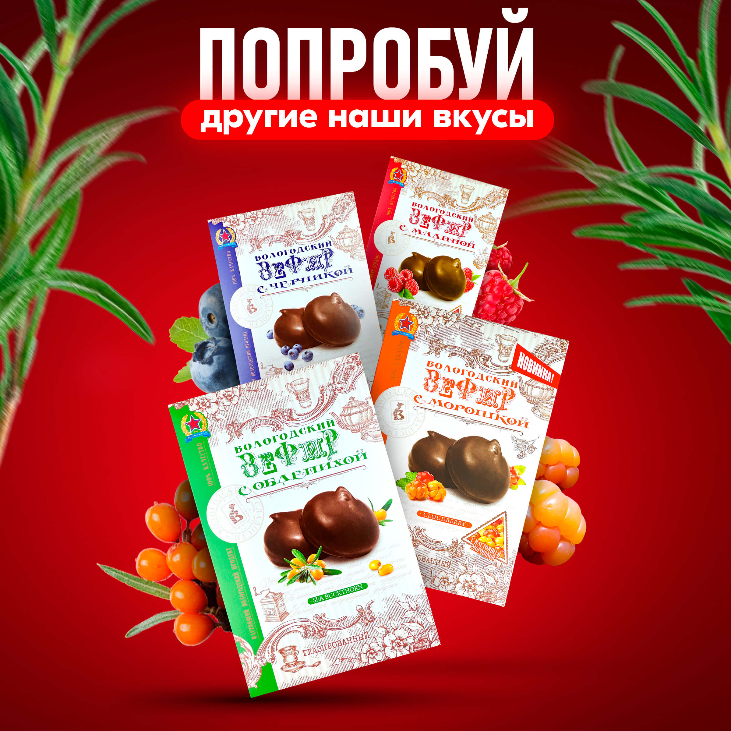 Зефир Вологодский в шоколаде