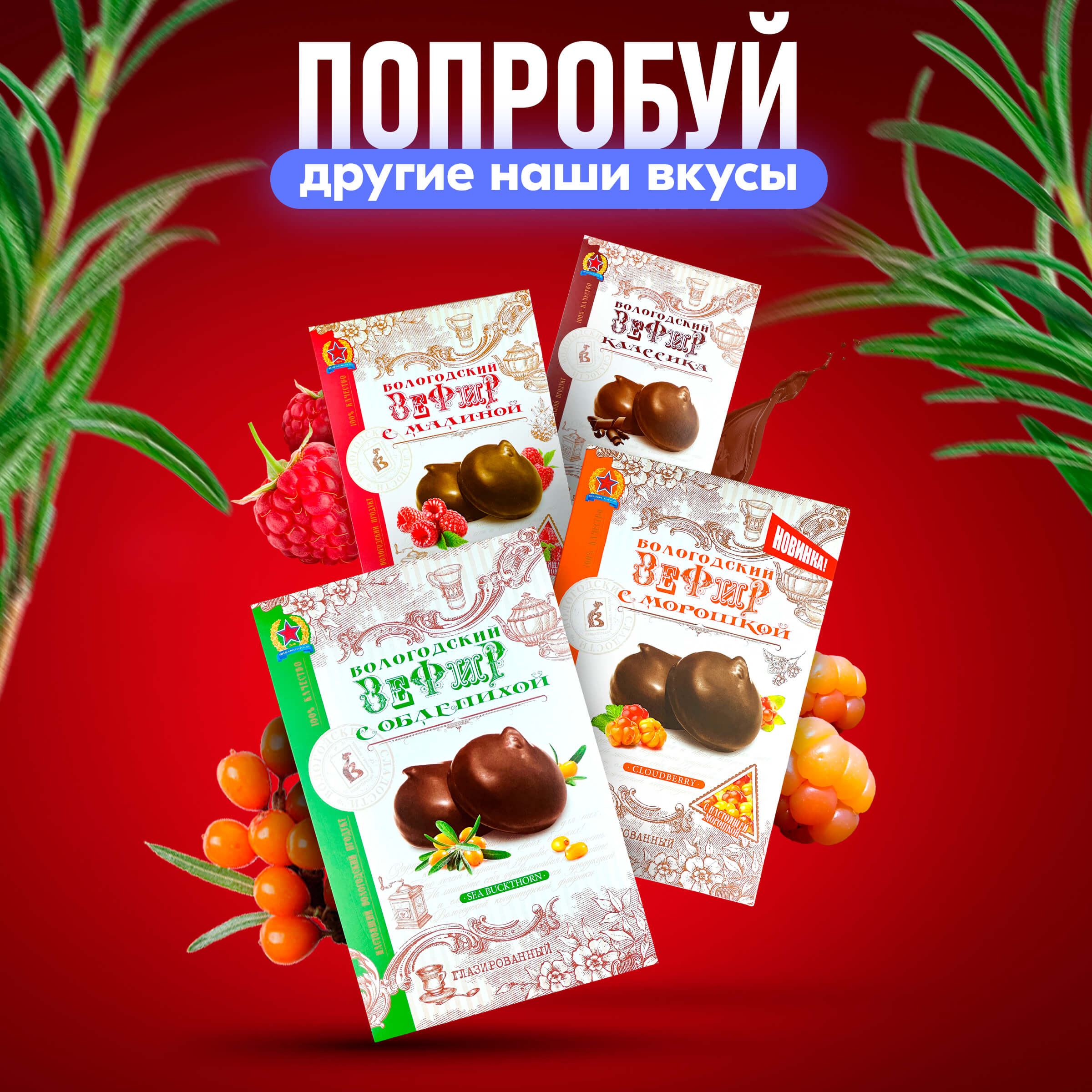 Зефир Вологодский в шоколаде