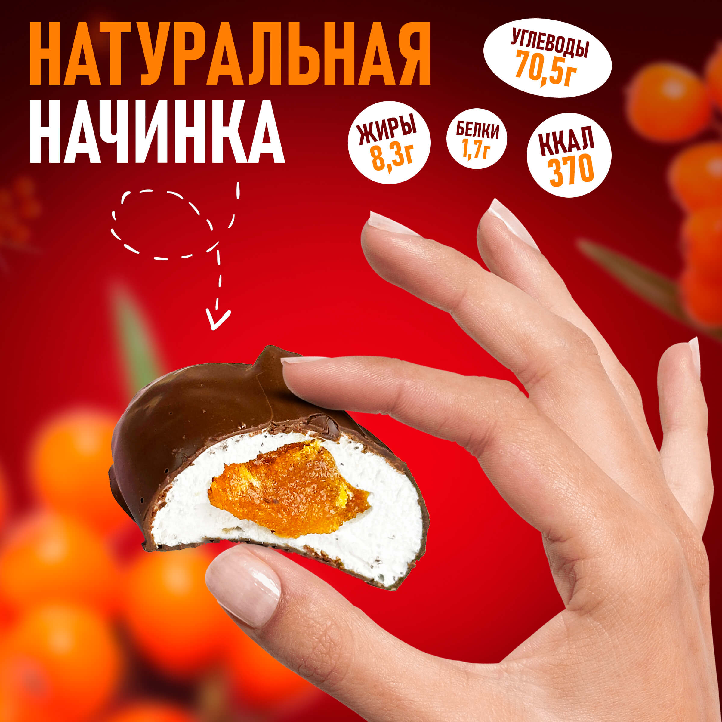 Зефир Вологодский в шоколаде