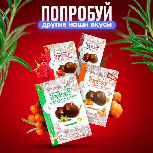 Зефир Вологодский в шоколаде 