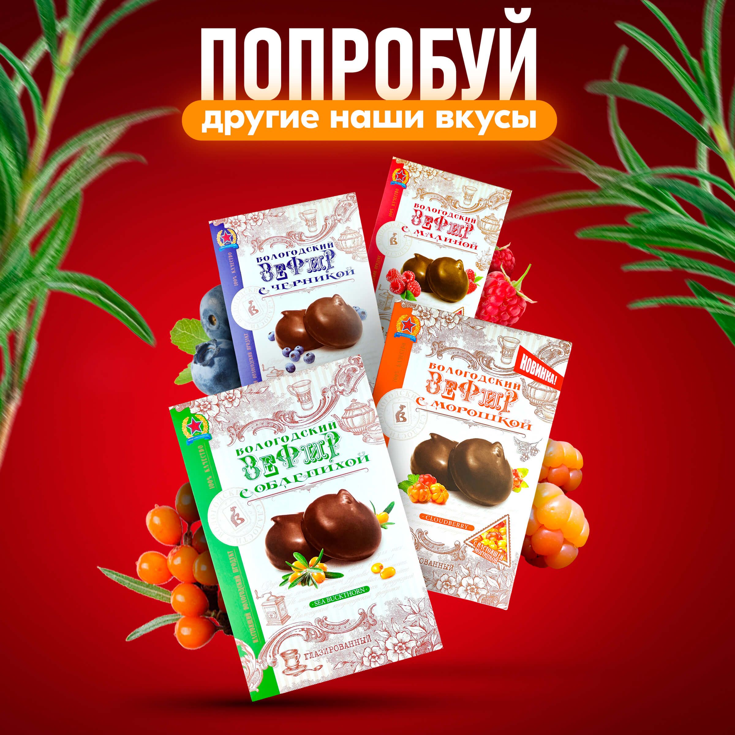 Зефир Вологодский в шоколаде Классика 250гр.