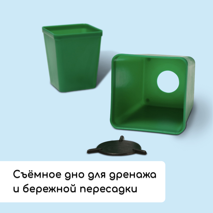 Набор для рассады: стаканы по 600 мл (8 .), поддон 36 × 18 см, цвет МИКС, Greengo