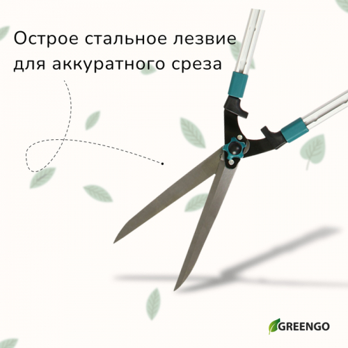 Кусторез, 31−44,5