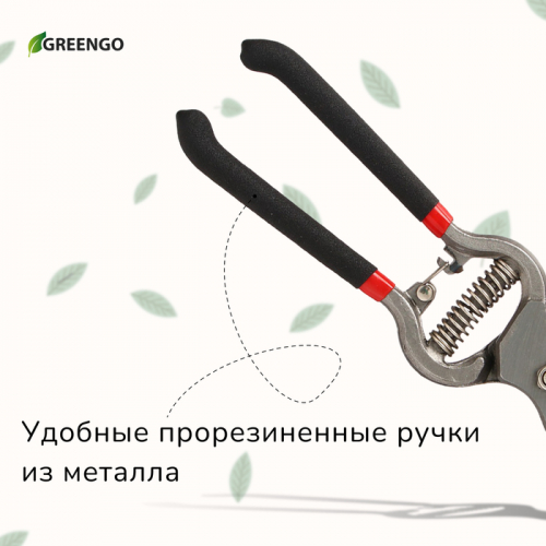 Секатор плоскостной, 10