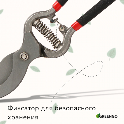 Секатор плоскостной, 10