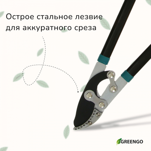 Сучкорез, профессиональный, 31