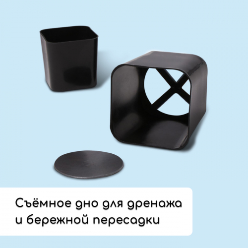 Набор для рассады: стаканы по 500 мл (10 .), поддон 40 × 19,5 см, МИКС, Greengo