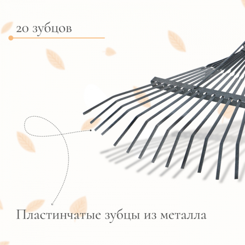 Грабли веерные, пластинчатые, 20 зубцов, металл, без черенка, тулейка 30 мм