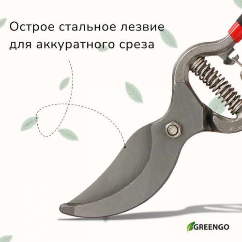 Секатор плоскостной, 10