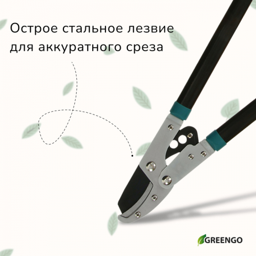 Сучкорез контактный, 31