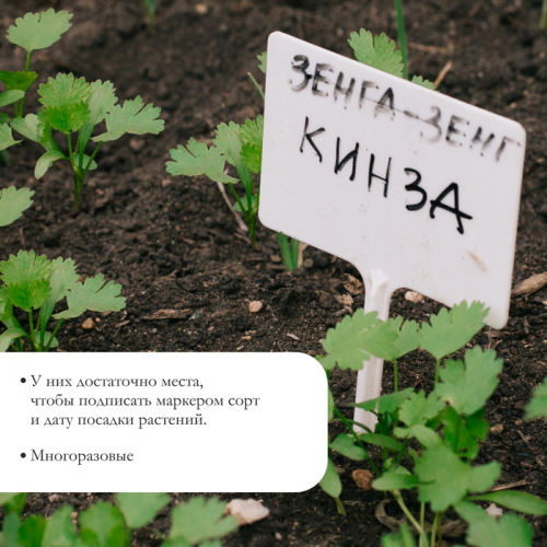 Таблички садовые, для маркировки растений, 15 см, набор 10 ., маркер, пластик, белые, Greengo