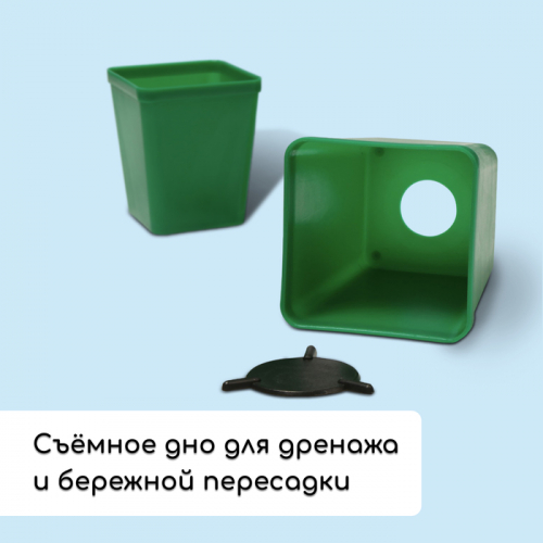 Набор для рассады: стаканы по 600 мл (8 .), поддон 36 × 18 см, цвет МИКС, Greengo
