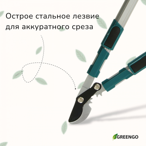 Сучкорез профессиональный, 26.4−37